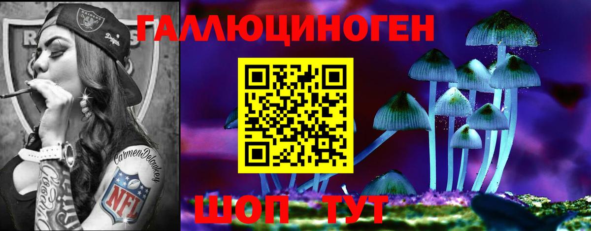 где продают   Вход с VPN  Губкинский  Галлюциногенные грибы Psilocybe 