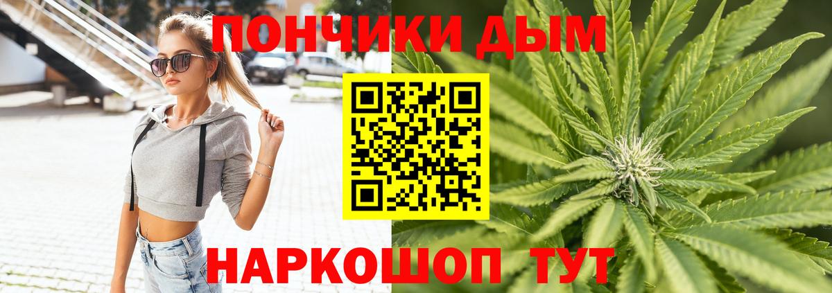 Каннабис план Губкинский